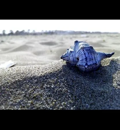 Cd Romanello Barletta