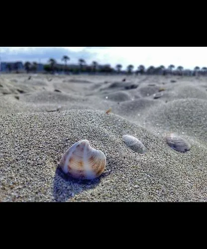 לינה וארוחת בוקר Cd Romanello בארלטה